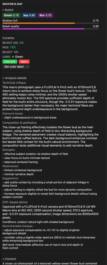 AI technical and composition scores in the analysis sidebar