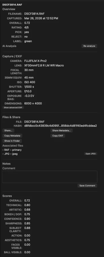 Colour palette, OCR, and EXIF feedback in the analysis sidebar