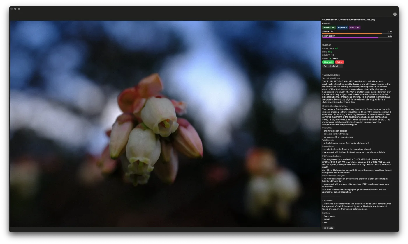 AI analysis detail panel showing scores, scene description, composition feedback and EXIF notes