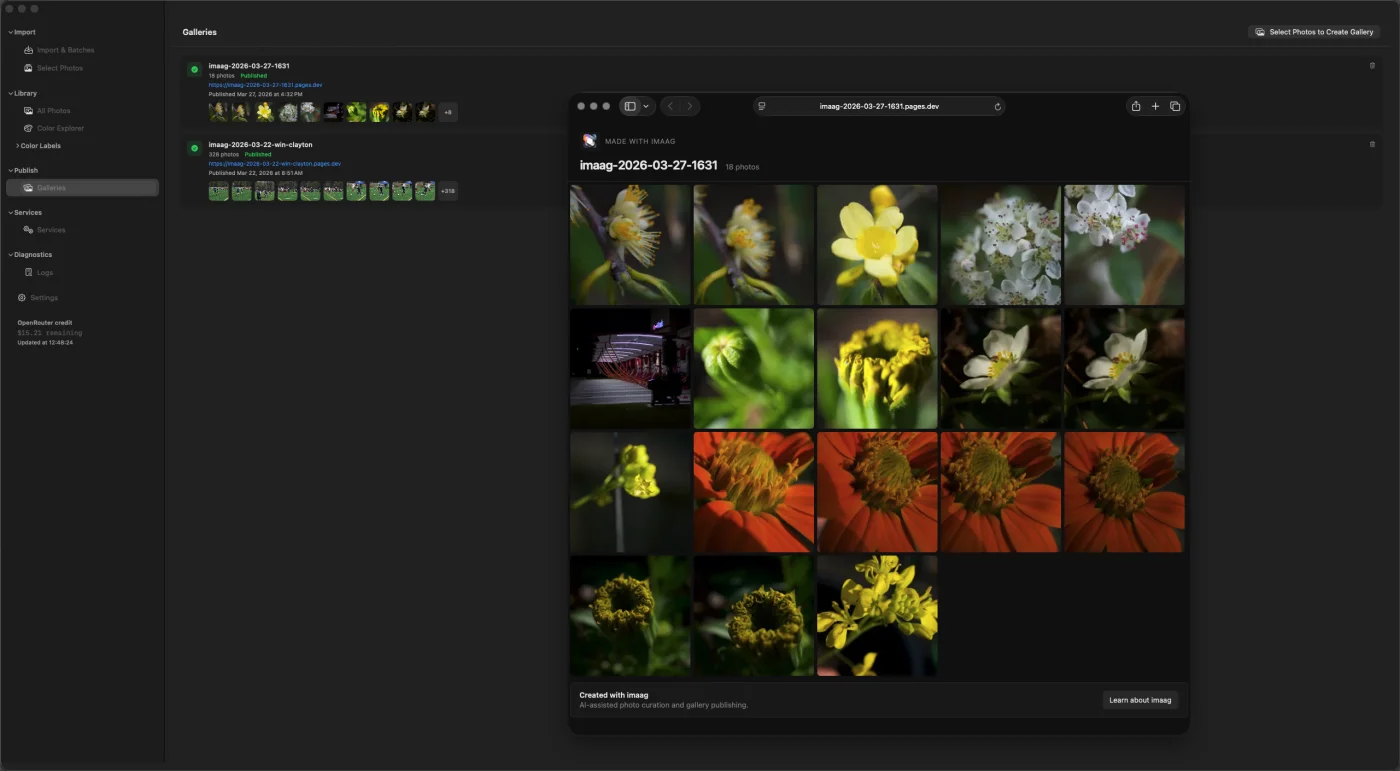 Gallery creator view with picks selected and Cloudflare publish button visible