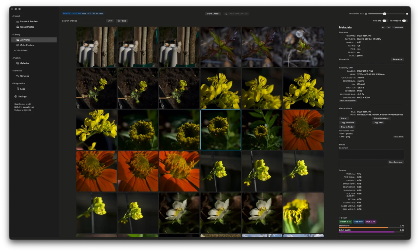 Imaag main library view showing AI score pills on thumbnails with full analysis sidebar open