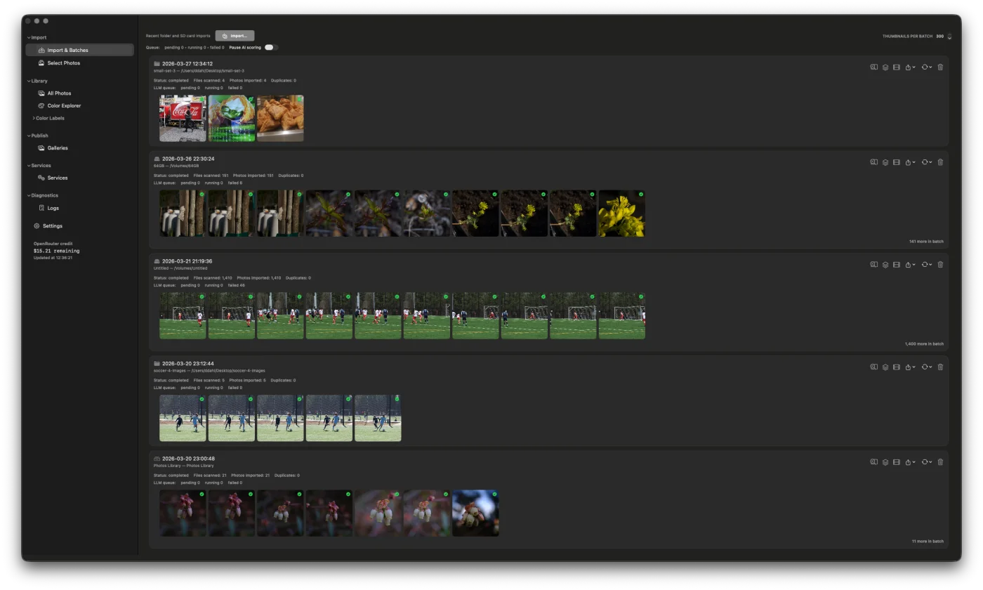 Import and batch view showing multiple import sessions with analysis progress